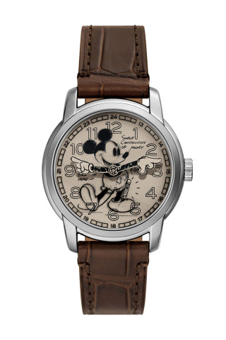 Fossil Satovi 