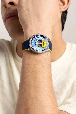 Fossil Satovi 
