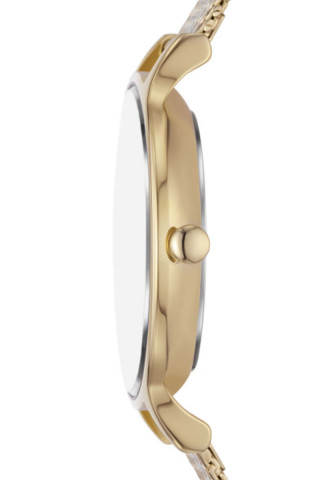 Skagen Satovi 