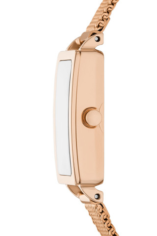 Skagen Satovi 