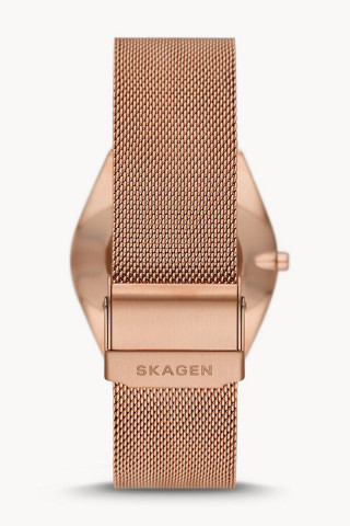 Skagen Satovi 