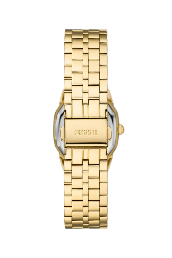Fossil Satovi 