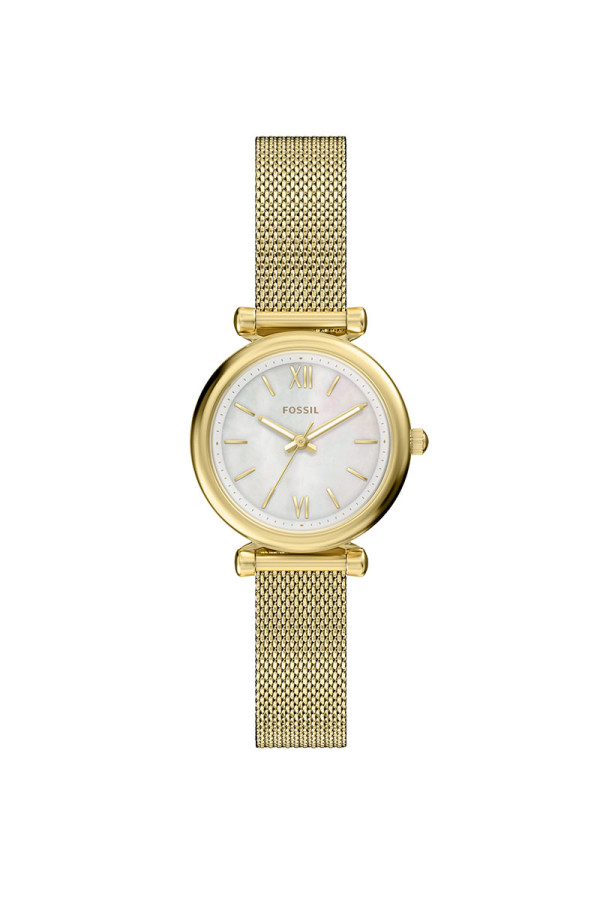 Fossil Satovi 