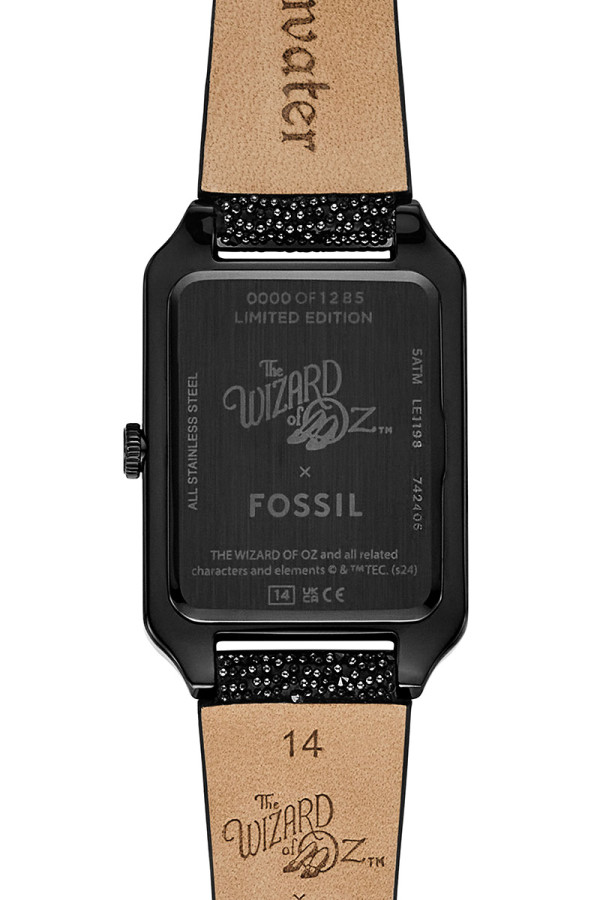 Fossil Satovi 
