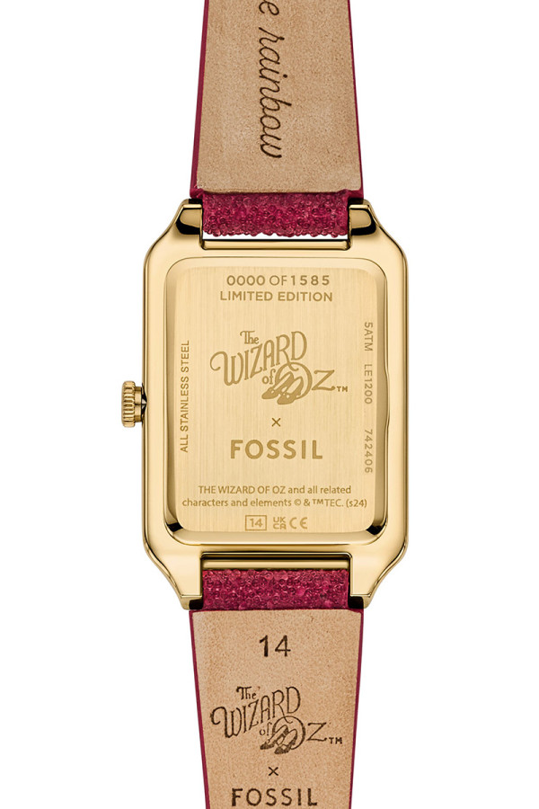 Fossil Satovi 