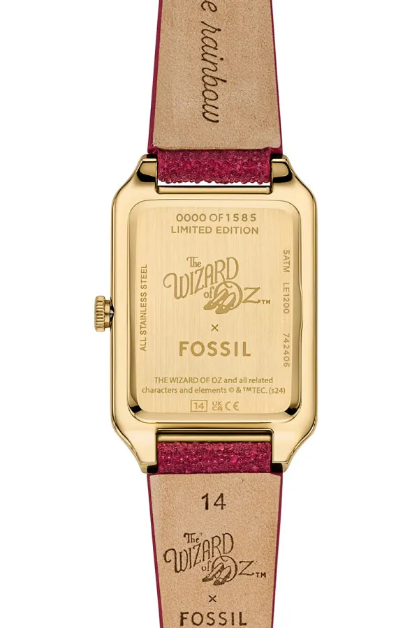 Fossil Satovi 