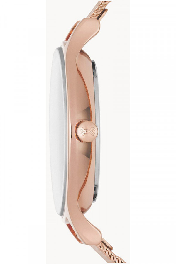 Skagen Satovi 