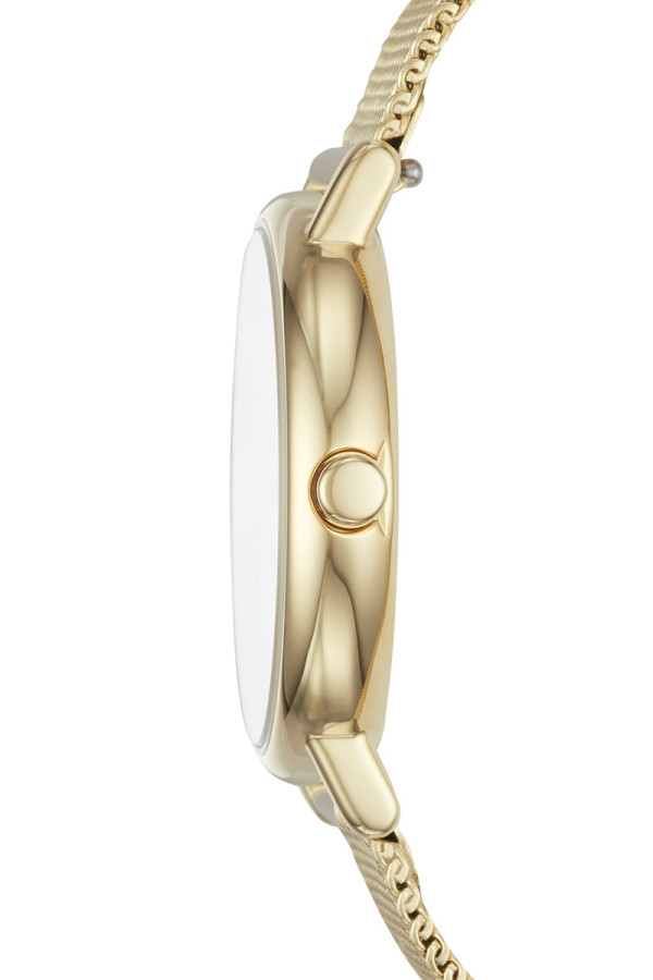 Skagen Satovi 