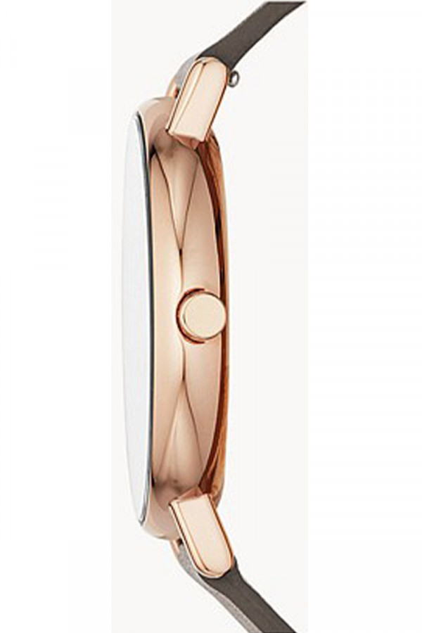 Skagen Satovi 