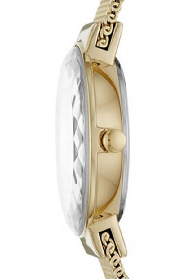 Skagen Satovi 