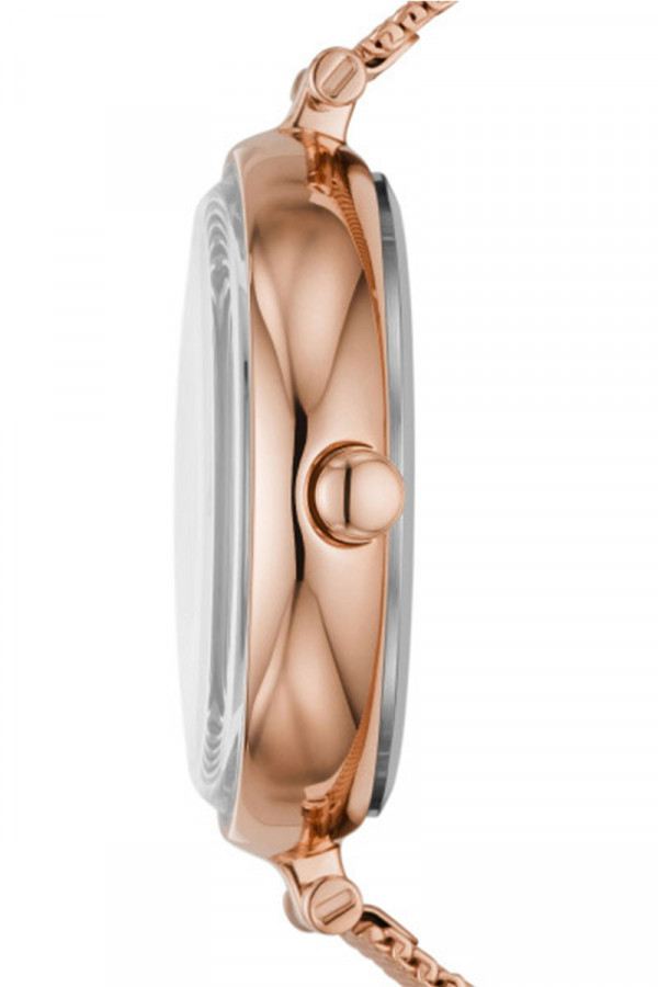 Skagen Satovi 