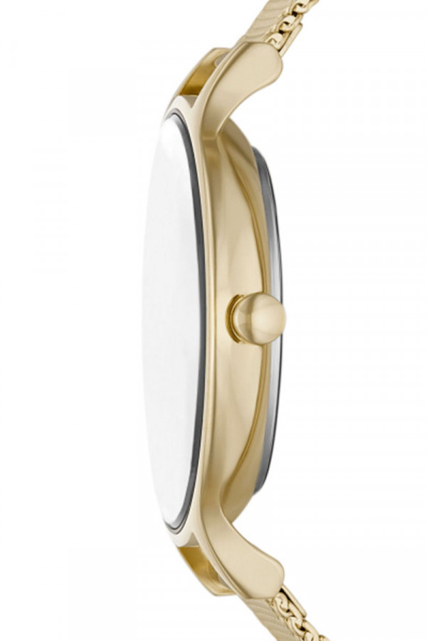 Skagen Satovi 