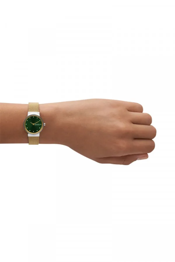 Skagen Satovi 