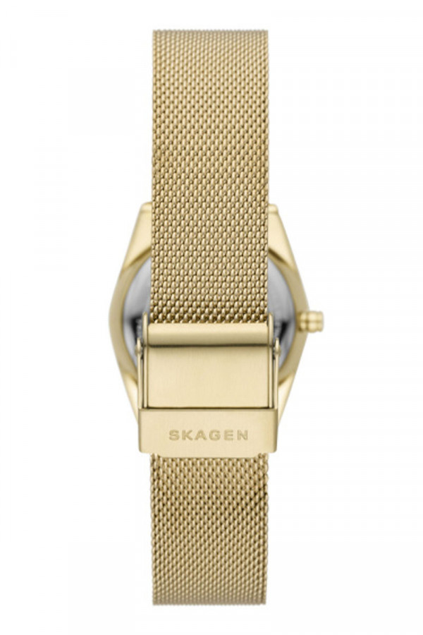 Skagen Satovi 