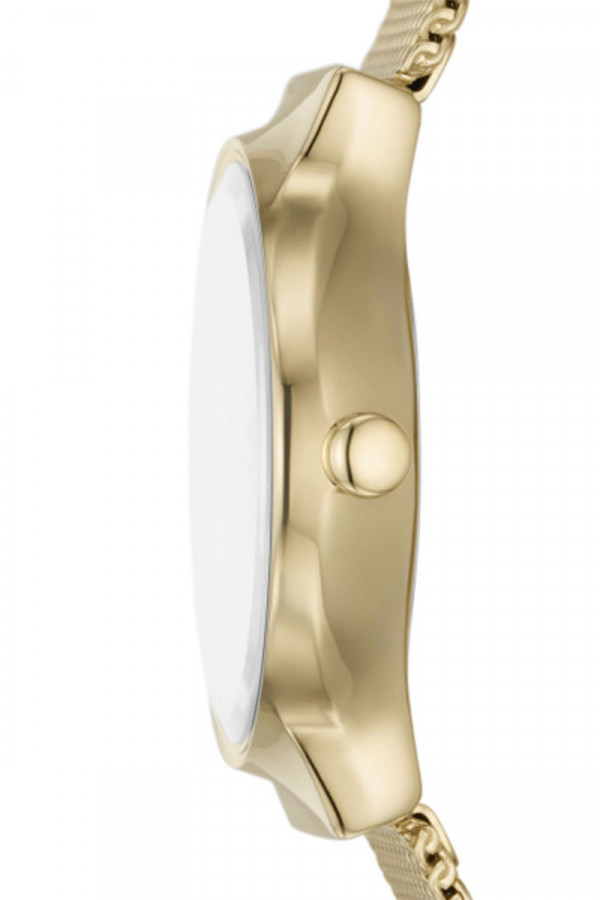 Skagen Satovi 