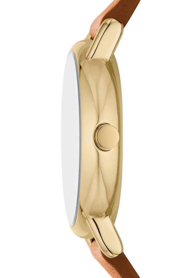 Skagen Satovi 