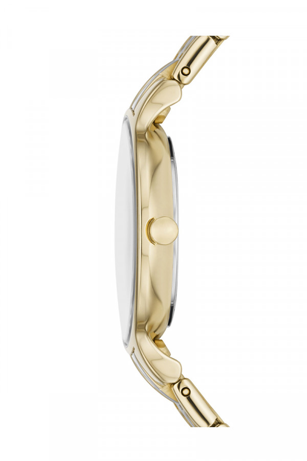 Skagen Satovi 