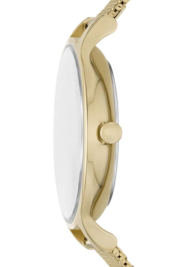 Skagen Satovi 