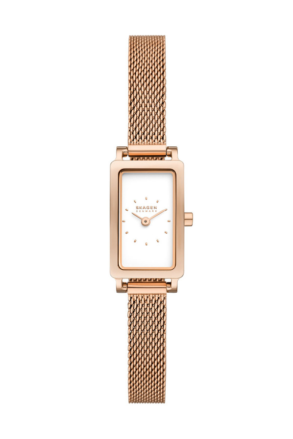 Skagen Satovi 