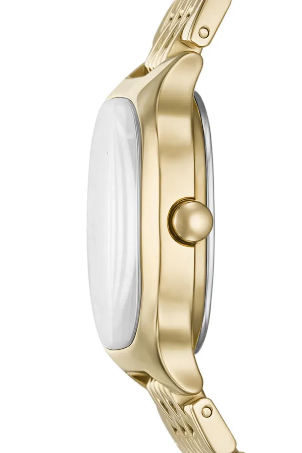 Skagen Satovi 