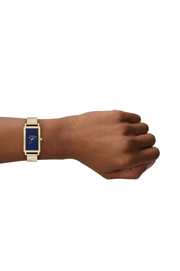 Skagen Satovi 
