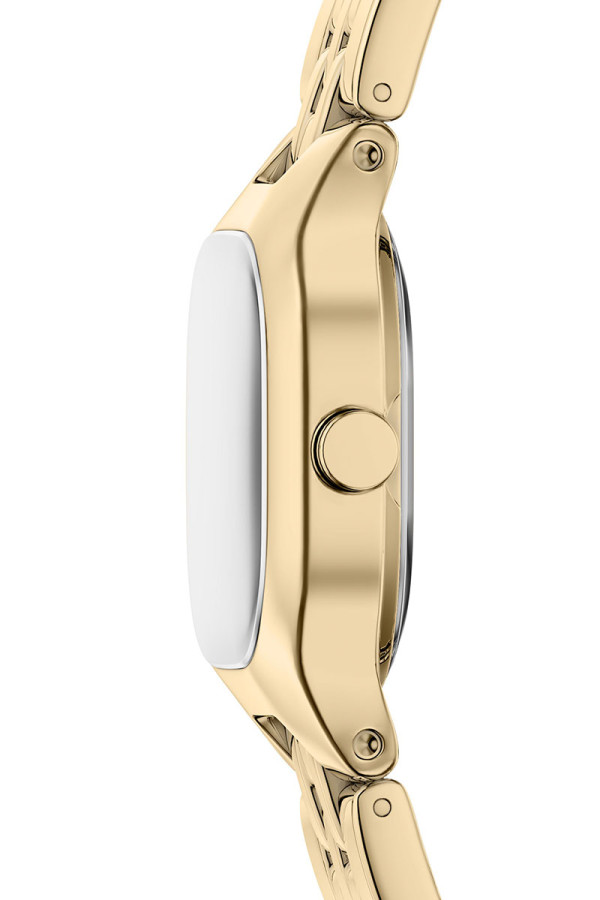 Skagen Satovi 