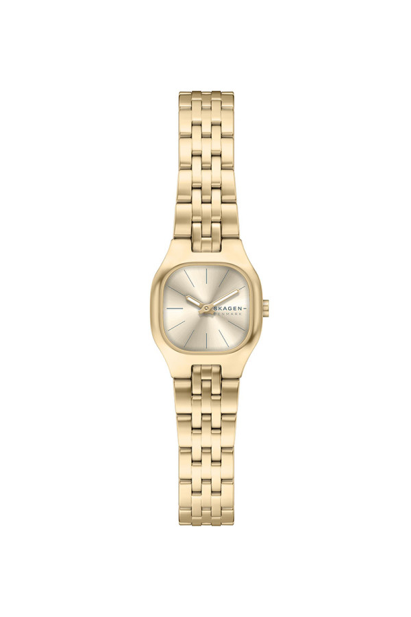 Skagen Satovi 
