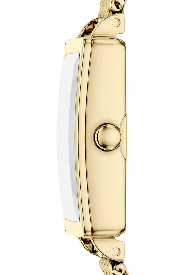 Skagen Satovi 