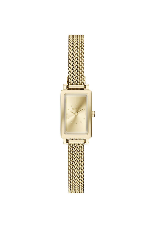 Skagen Satovi 