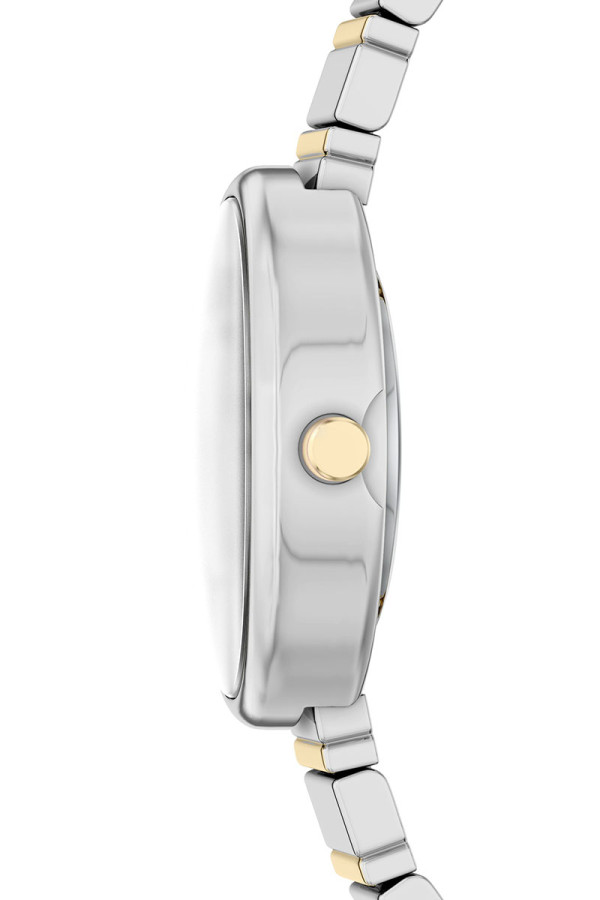 Skagen Satovi 