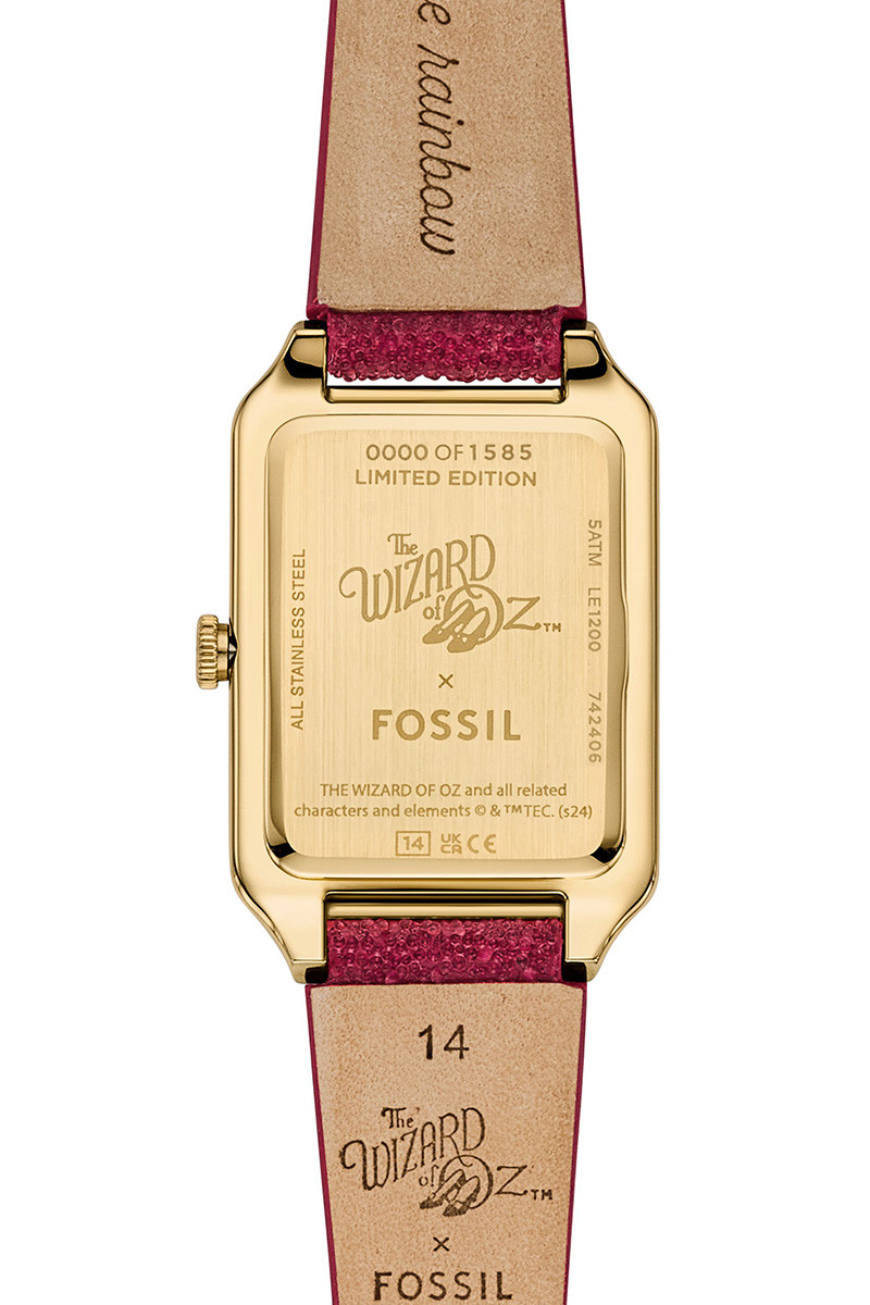 Fossil Satovi 