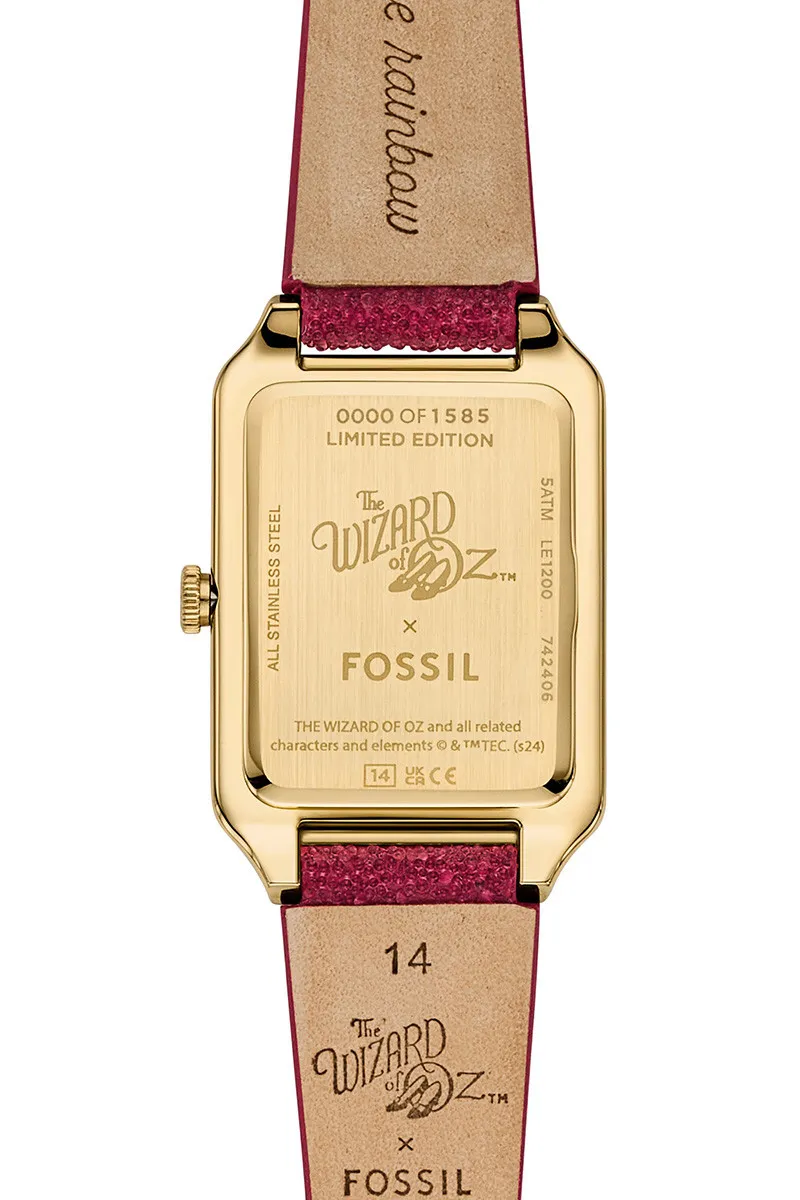 Fossil Satovi 