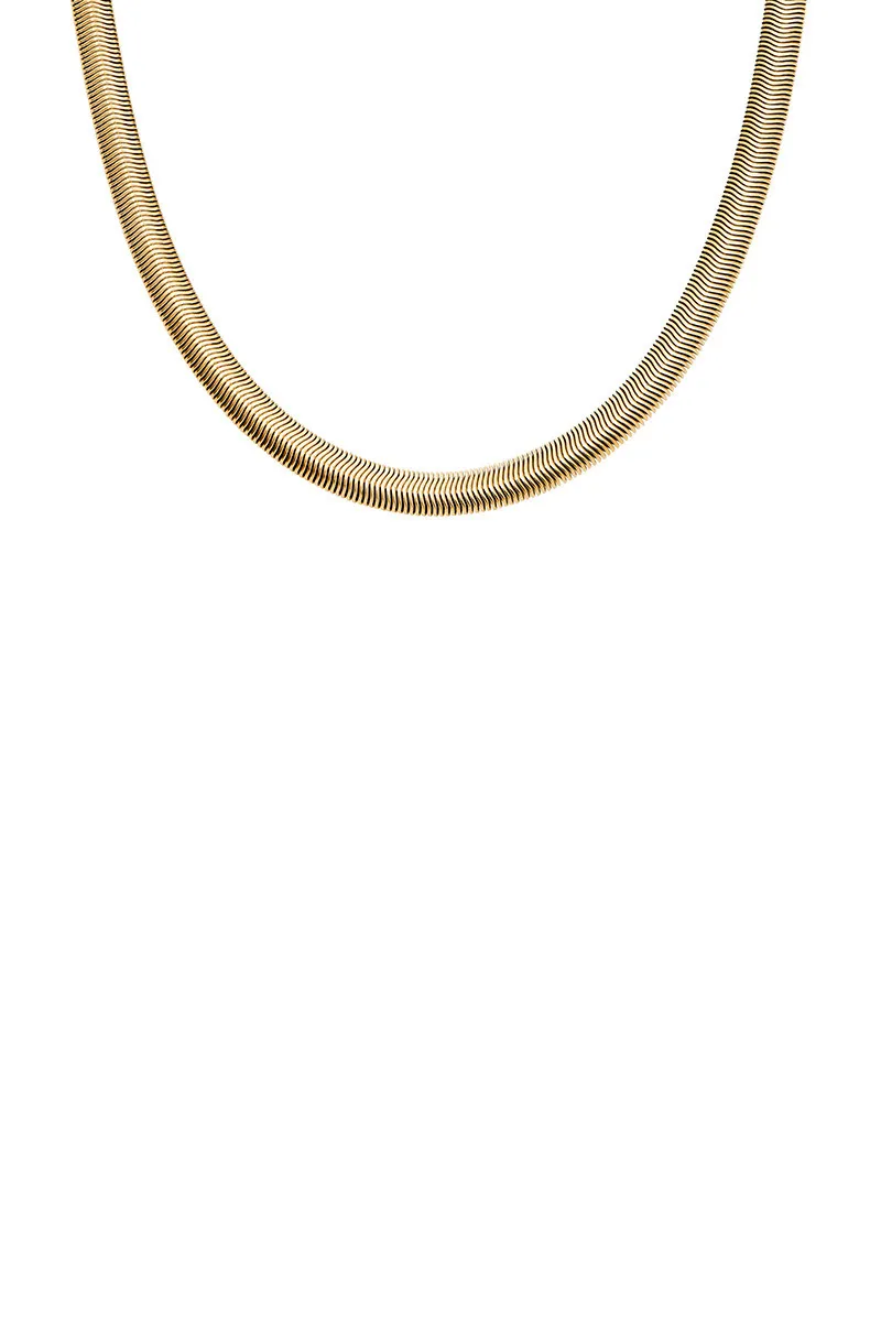 Skagen Ogrlice 