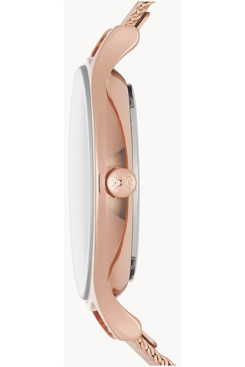Skagen Satovi 
