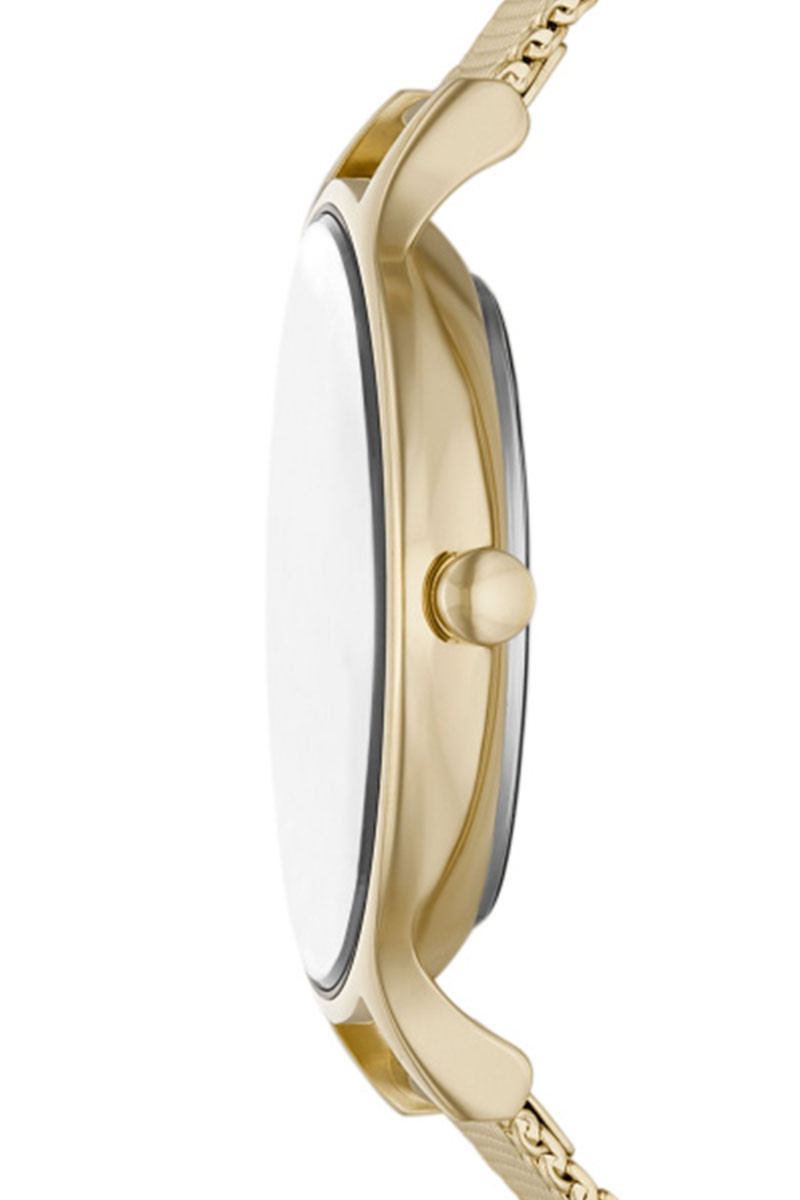 Skagen Satovi 