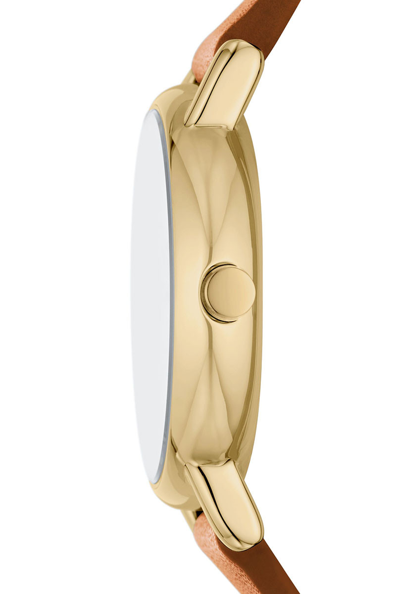 Skagen Satovi 