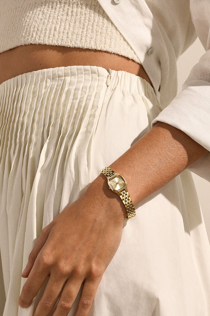 Skagen Satovi 